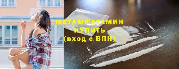 прущие грибы Белокуриха