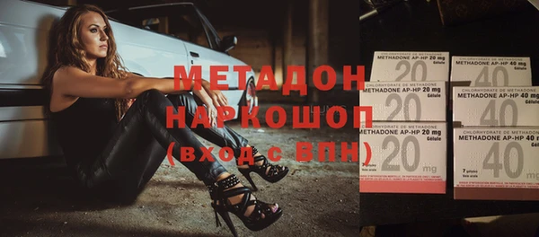 прущие грибы Белокуриха