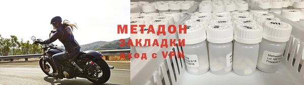 прущие грибы Белокуриха