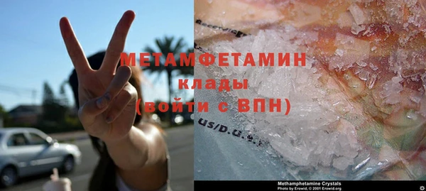 прущие грибы Белокуриха